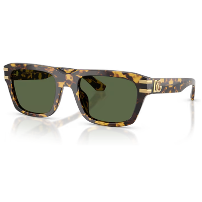 Dolce & Gabbana DG4496 Sunglasses